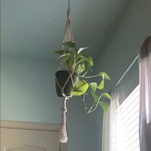 Meet your Posher, Sam